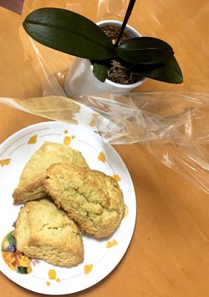 🍵抹茶ホワイトチョコスコーン-レシピのメイン写真