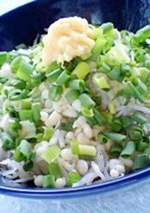 簡単☆さっぱり揚げ玉しらす丼-レシピのメイン写真