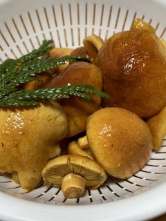 原木なめこの南蛮煮-レシピのメイン写真