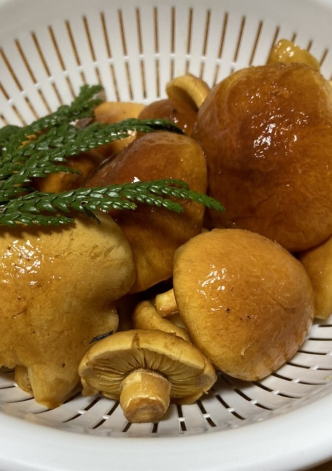 原木なめこの南蛮煮-レシピのメイン写真