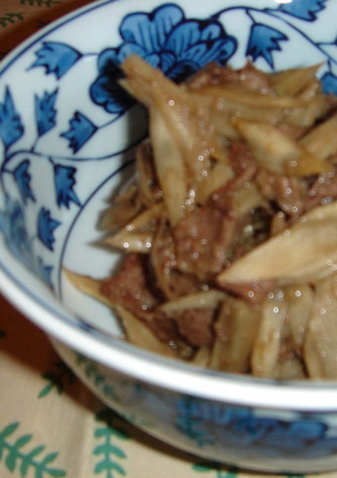 ごぼうと牛肉の煮物-レシピのメイン写真