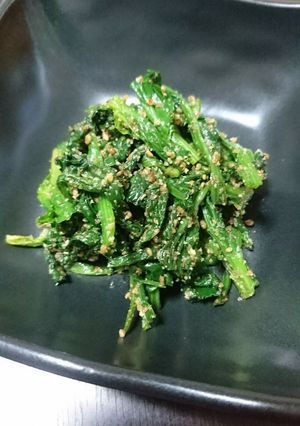 ほうれん草のごま和え-レシピのメイン写真