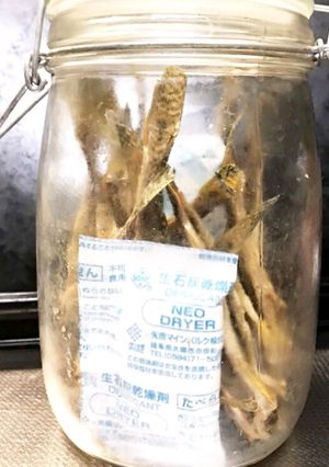 旦那のお手製 ハゼの焼き干し-レシピのメイン写真