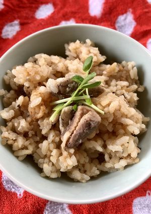 サンマごはん ✧*｡٩(ˊᗜˋ*)و✧*-レシピのメイン写真