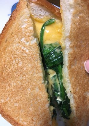 超簡単　ほうれん草ホットサンド-レシピのメイン写真