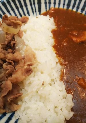 簡単美味・牛肉とカレーの合掛け-レシピのメイン写真