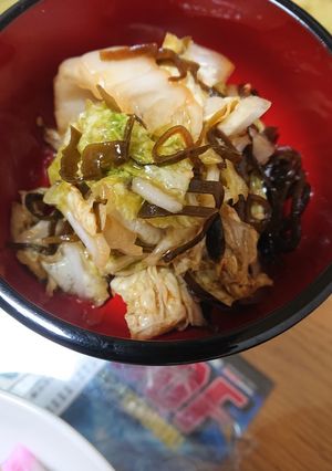 白菜と塩昆布で☆漬物にも副菜にも-レシピのメイン写真