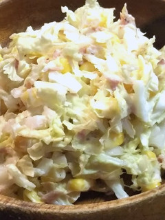 白菜のコールスロー-レシピのメイン写真