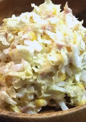 白菜のコールスロー-レシピのメイン写真