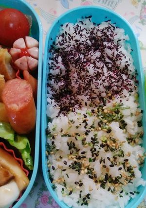 女子高校生毎日お弁当16-レシピのメイン写真