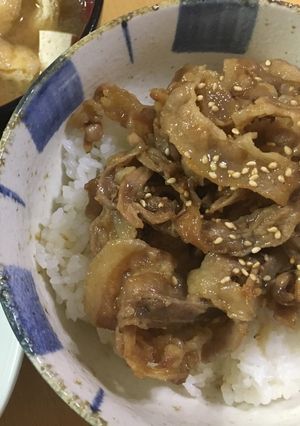 うちの豚丼-レシピのメイン写真