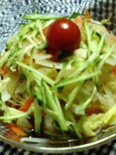 茹で野菜で♪冷やし中華-レシピのメイン写真