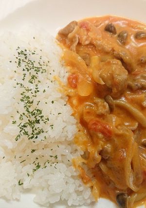 ポークストロガノフ-レシピのメイン写真