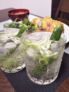 お酒好きに♪きゅうりとレモンの焼酎-レシピのメイン写真