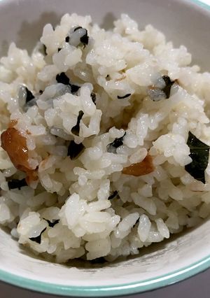 梅ご飯-レシピのメイン写真