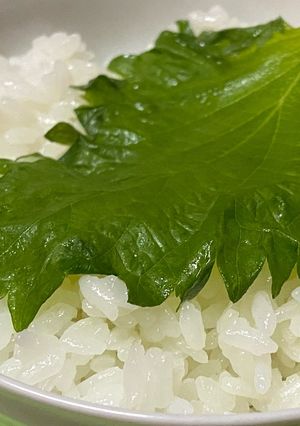 簡単・男飯・大葉の浅漬け(ご飯のお供)-レシピのメイン写真