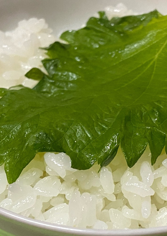簡単・男飯・大葉の浅漬け(ご飯のお供)-レシピのメイン写真
