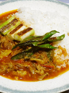 長ネギカレー【スパイスカレー】-レシピのメイン写真