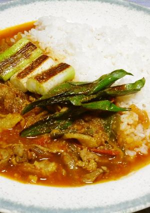 長ネギカレー【スパイスカレー】-レシピのメイン写真