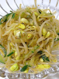 豆もやしとキュウリのナムル風-レシピのメイン写真