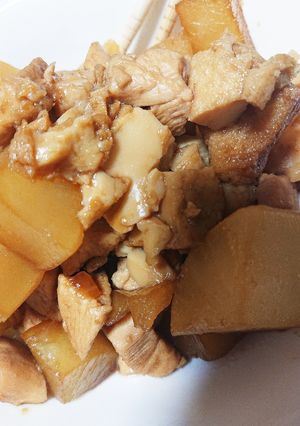 大根と胸肉と厚揚げの甘煮物-レシピのメイン写真