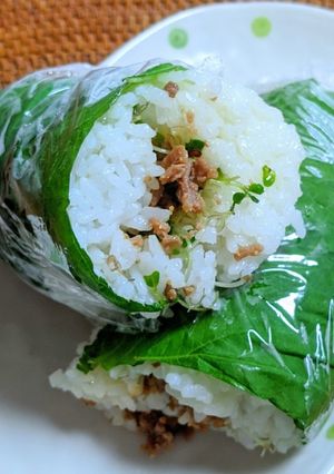 飯團(ファントワン)風✿豚ミンチおにぎり-レシピのメイン写真