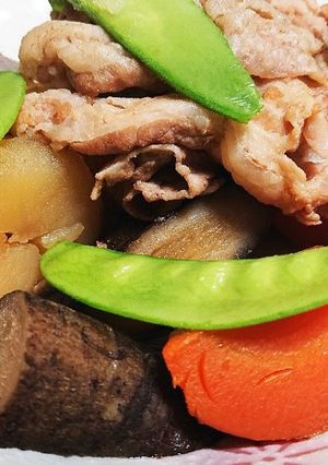 冷蔵庫の余り物で美味！豚肉と根菜の煮物♪-レシピのメイン写真
