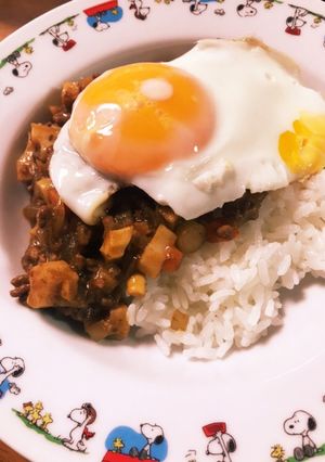 根菜たっぷりドライカレー☆-レシピのメイン写真
