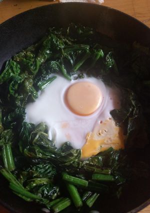 ちぢみほうれん草と目玉焼き-レシピのメイン写真