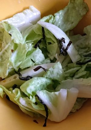 生でシャキシャキ！超簡単☆白菜サラダ-レシピのメイン写真