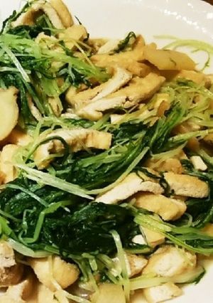 ショウガ・水菜・油揚げの煮物-レシピのメイン写真