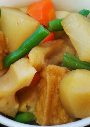 厚揚げと根菜の煮物-レシピのメイン写真