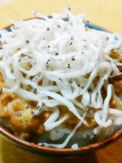 シラウオ煮干しと納豆ご飯-レシピのメイン写真