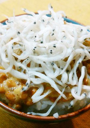 シラウオ煮干しと納豆ご飯-レシピのメイン写真