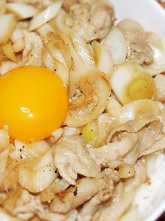 伝説のすた丼風☆旨い肉丼-レシピのメイン写真