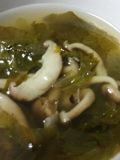 レタスとキノコのスープ-レシピのメイン写真
