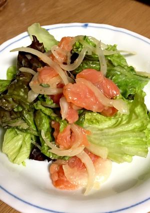 サーモンのマリネ-レシピのメイン写真