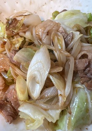 豚バラ肉とキャベツもやし長ネギオイスター-レシピのメイン写真