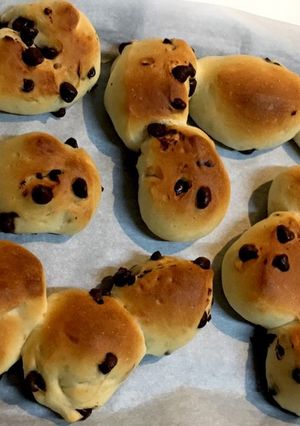 チョコチップパン-レシピのメイン写真