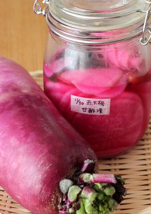 赤大根の甘酢漬け-レシピのメイン写真