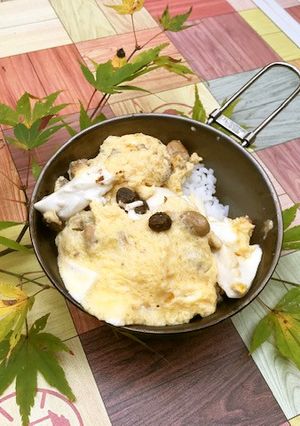 浜納豆フワトロ丼-レシピのメイン写真