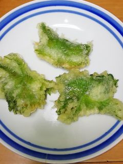 ササミ no 大葉チーズ巻き揚げ-レシピのメイン写真