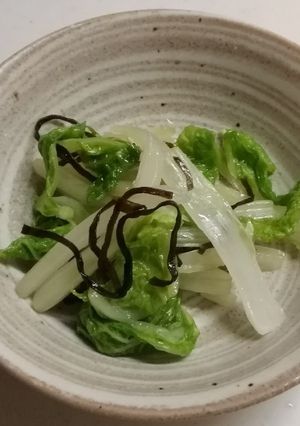 《白菜レンジ蒸しの塩昆布あえ》-レシピのメイン写真