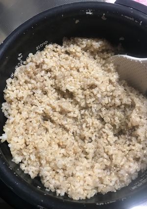 玄米こんにゃく ご飯-レシピのメイン写真