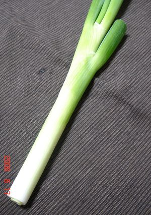 ◎完全版◎焼肉のねぎダレ◎-レシピのメイン写真
