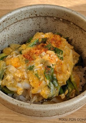 天かすでコクうま！ジャンクねぎ玉丼-レシピのメイン写真