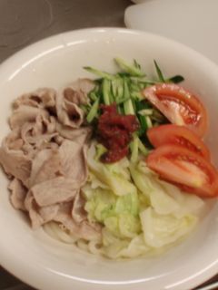 さっぱり冷しゃぶうどん~梅風味~-レシピのメイン写真