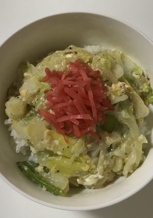 簡単楽チン☆白菜♡丼☆-レシピのメイン写真