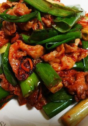 ご飯お酒が進む♪ネギたっぷり☆豚キムチ☆-レシピのメイン写真