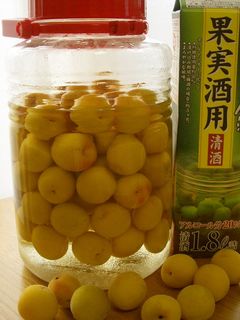 梅講師直伝⑤ 贅沢❤日本酒で梅酒-レシピのメイン写真